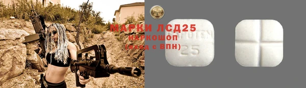 амф Магас