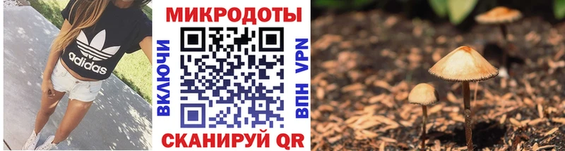 Псилоцибиновые грибы мухоморы  Стерлитамак 